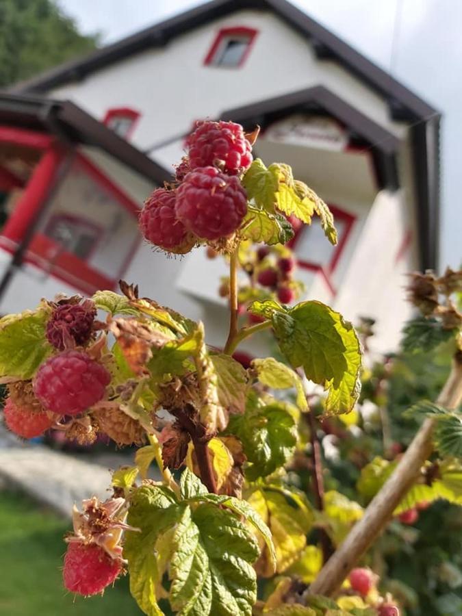 Villa Jelena Mavrovo Exteriör bild